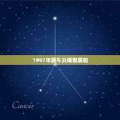 1997年属牛女婚配属相，1997女属牛人最佳婚配
