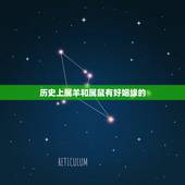 历史上属羊和属鼠有好姻缘的，属鼠女和属羊男的夫妻