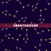 水墨先生今日生肖牛运势，十二生肖每日运势查询