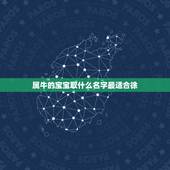 属牛的宝宝取什么名字最适合徐，属牛的09年4月初六下午5点33分出生女