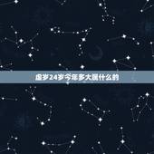 虚岁24岁今年多大属什么的，今年24岁属什么生肖