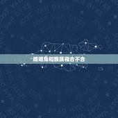 婚姻兔和猴属相合不合，兔和猴的属相适合结婚吗