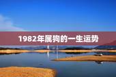 1982年属狗的一生运势，82属狗一生有几个子女