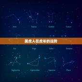 属虎人在虎年的运势，属虎个人能力超强