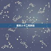 属羊人十二月财运，过了12月属羊财运大发