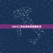 2022二月出生的虎宝宝乳名，2022 年出生的牛宝宝是什么命