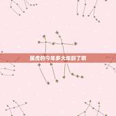 属虎的今年多大年龄了啊，属龙的今年多大年龄了啊