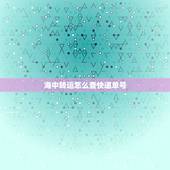 海中转运怎么查快递单号，帮我查一下快递单号88543863757578