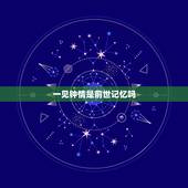 一见钟情是前世记忆吗，为什么有些人心底总有一个忘不掉的人，聊一下吧？