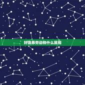 好逸恶劳动物什么属相，（好逸恶劳）指什么生肖？