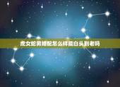 虎女蛇男婚配怎么样能白头到老吗，女的属虎男的属蛇婚配能白头到老吗