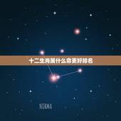 十二生肖属什么命更好排名，十二生肖谁的运气更好排行榜