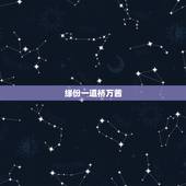 缘份一道桥万茜，问一首歌 这缘分 情难潦草 今宵多欢畅 笑一笑。