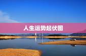 人生运势起伏图，求解紫薇盘，看人生起伏