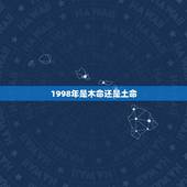 1998年是木命还是土命，1998年金木水火土属什么