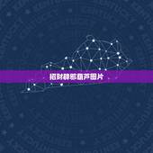 招财辟邪葫芦图片，用貔貅和葫芦做微信头像好不好