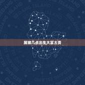 属猪几点出生大富大贵，属猪哪个时辰出生大富大贵
