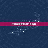 小乖麻根登卓玛11月运势，小乖麻根登卓玛20214月星座运势
