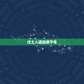 戊土人遇到庚子年，戊子日柱2022 年合掉子水