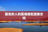 属龙的人的属相婚配跟猪合吗，属猪与属龙相配吗