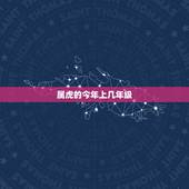 属虎的今年上几年级，老虎年龄与人类对照表