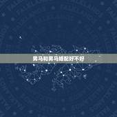 男马和男马婚配好不好，属马男和属马女相配吗