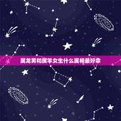 属龙男和属羊女生什么属相最好命，属猪人是什么命