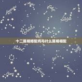 十二属相婚配鸡与什么属相相配，属鸡的和什么属相最配