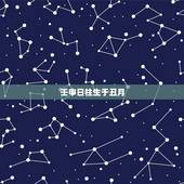 壬申日柱生于丑月，壬申日生于各时