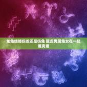 龙兔结婚伤龙还是伤兔 属龙男属兔女在一起谁克谁
