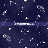 属蛇和属兔的相配吗，1999兔年一生几次婚姻