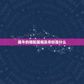 属牛的婚配属相及年份是什么(寻找牛年姻缘)
