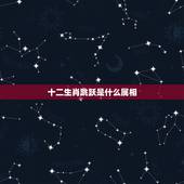 十二生肖跳跃是什么属相，上窜下跳的是什么生肖？