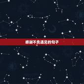 感谢不负遇见的句子，有幸相遇，不负遇见的句子爱情