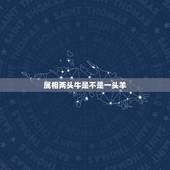 属相两头牛是不是一头羊，十二生肖里面，属相是牛和属相是羊的相配吗？