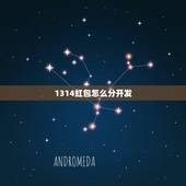 1314红包怎么分开发，五二零红包怎么分开发