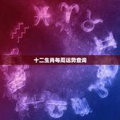 十二生肖每周运势查询，十二生肖今日运势查询2022 年