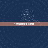 12生肖婚姻更佳配对，十二生肖配偶更佳选择