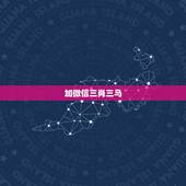 加微信三肖三马，glj694476333我的微信号