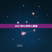 2021年42岁的人属相，2021年今天属相是什么