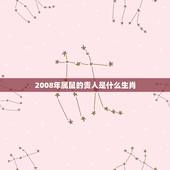 2008年属鼠的贵人是什么生肖，属鼠一生的贵人