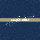 1987年兔男财运怎么样，1987年的兔是什么命