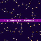 十二生肖今日运势12属相每日运程，2009年十二生肖运程