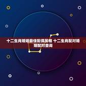 十二生肖婚姻最佳配偶属相 十二生肖配对婚姻配对查询