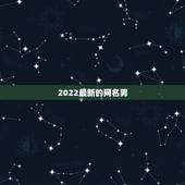 2022最新的网名男，2022年网名