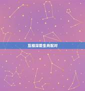 互相深爱生肖配对，十二星座相互喜欢的星座