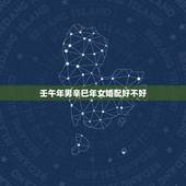 壬午年男辛巳年女婚配好不好，2004属猴男配2002属马女相配吗？
