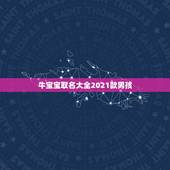 牛宝宝取名大全2021款男孩，2021年牛宝宝取什么名字好