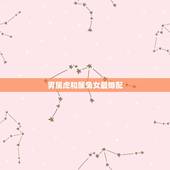 男属虎和属兔女最婚配，男属虎女属兔，和属什么生肖的人工作能顺利