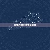 属兔的做什么生意最旺，2022 年属兔人的全年运势